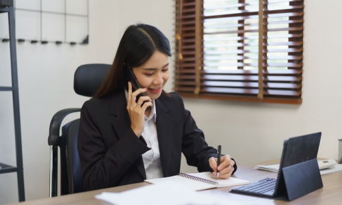 providing local director, company secretary, and local agent services